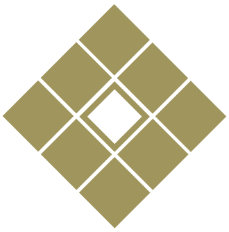 advancn logo 1